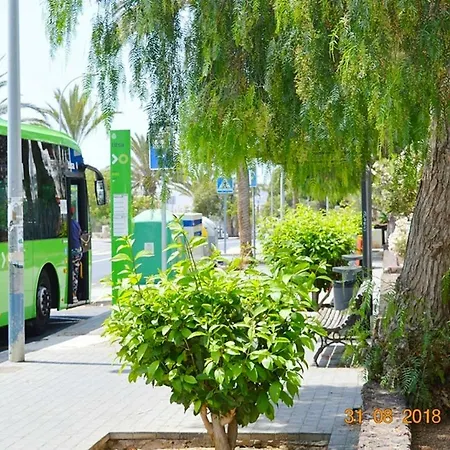 New Renovated Duplex Near The Ocean Located In Tenerife Sur * 德尔锡伦西奥海岸