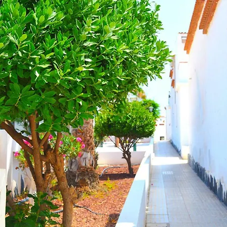 Appartamento New Renovated Duplex Near The Ocean Located In Tenerife Sur Costa Del Silencio
